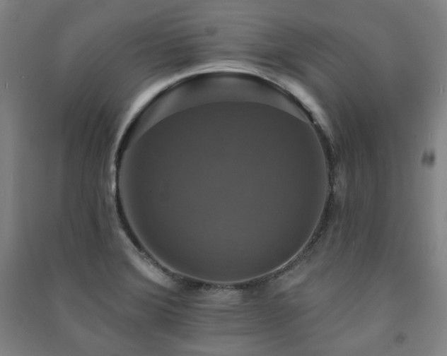 X0000091461372200708161514