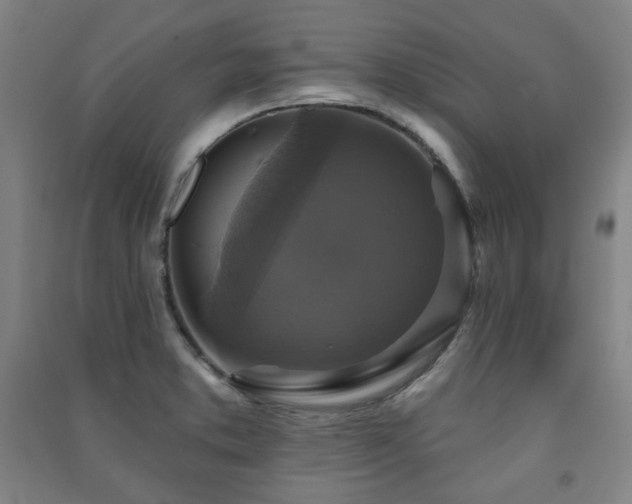 X0000091461373200708161514