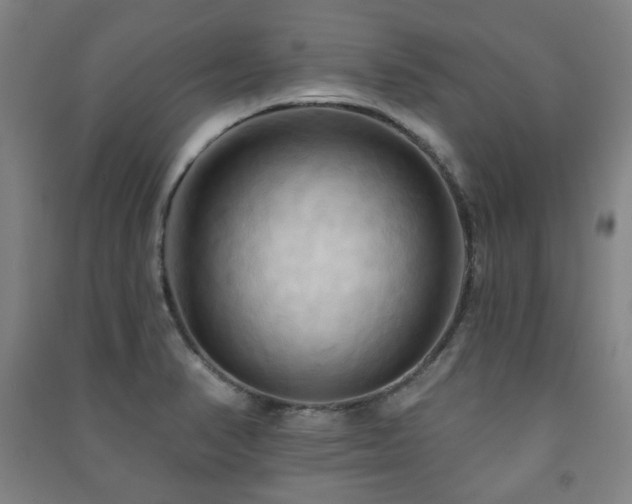 X0000091461374200708161514