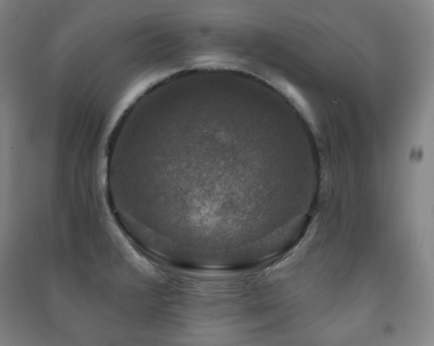 X0000091461376200708161514