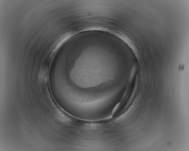 X0000091461377200708161514