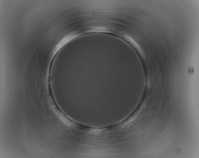 X0000091461378200708161514