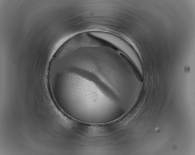 X0000091461379200708161514
