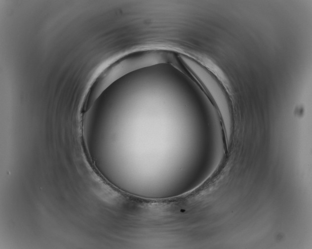 X0000091461380200708161514