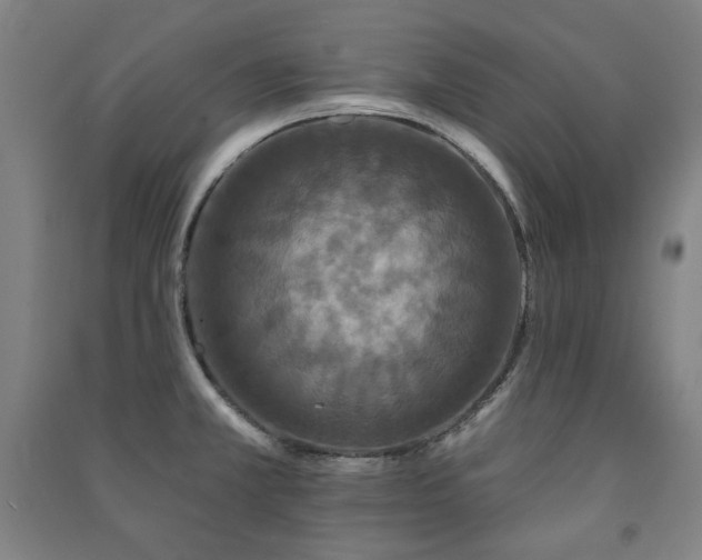 X0000091461381200708161514