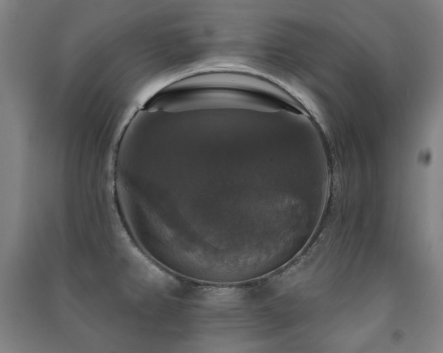 X0000091461382200708161514