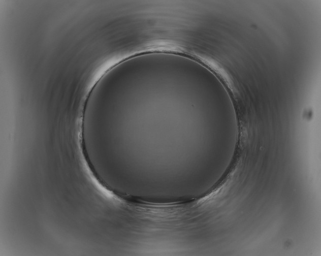 X0000091461383200708161514