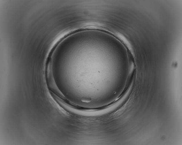 X0000091461384200708161514