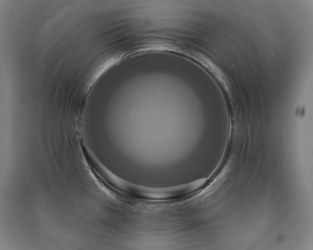 X0000091461385200708161514