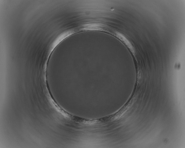 X0000091461386200708161514
