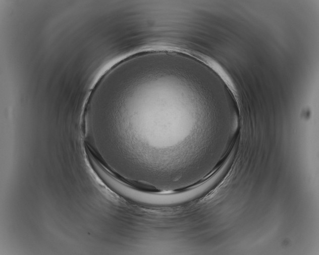 X0000091461388200708161513