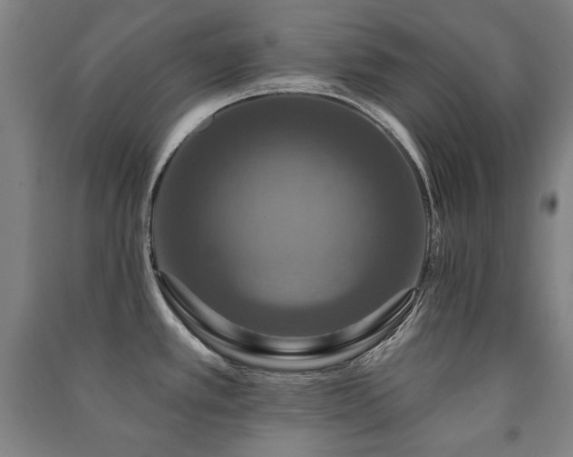 X0000091461389200708161513