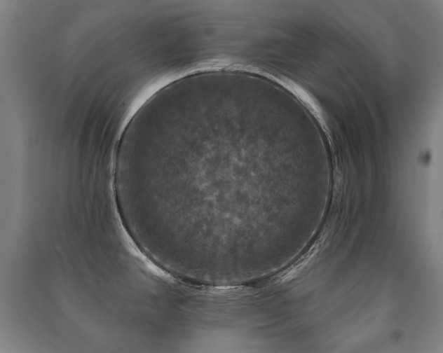 X0000091461390200708161513