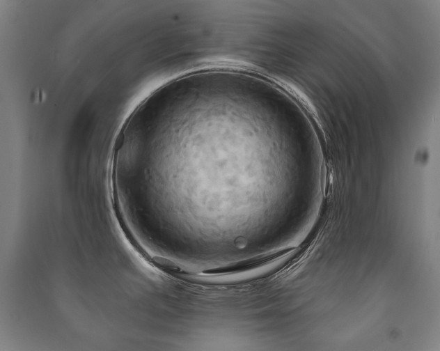 X0000091461391200708161513