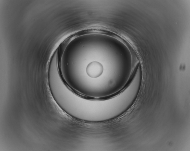 X0000091461392200708161513