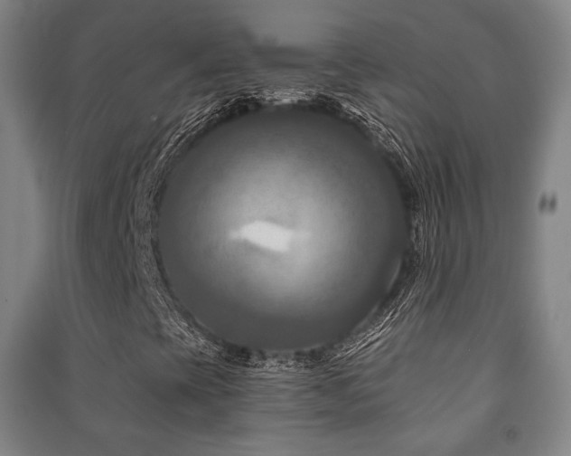 X0000091461393200708161513
