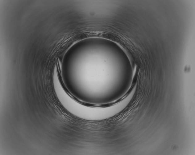 X0000091461394200708161513