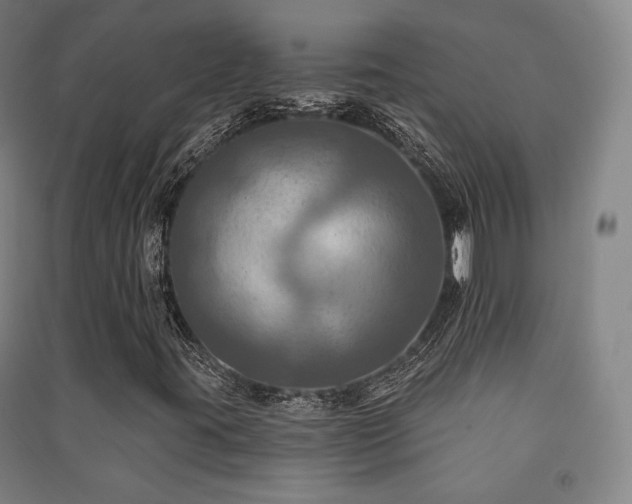 X0000091461395200708161513