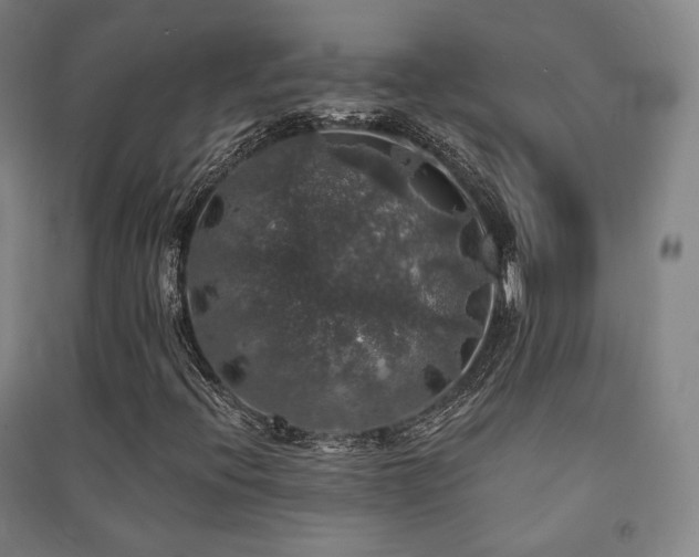 X0000091461396200708161513