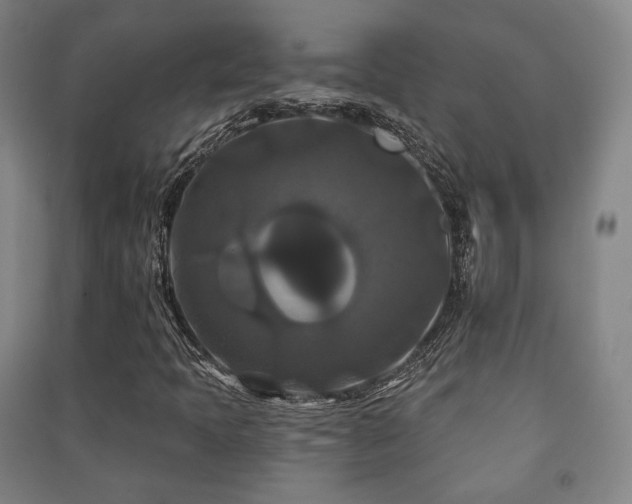 X0000091461397200708161513