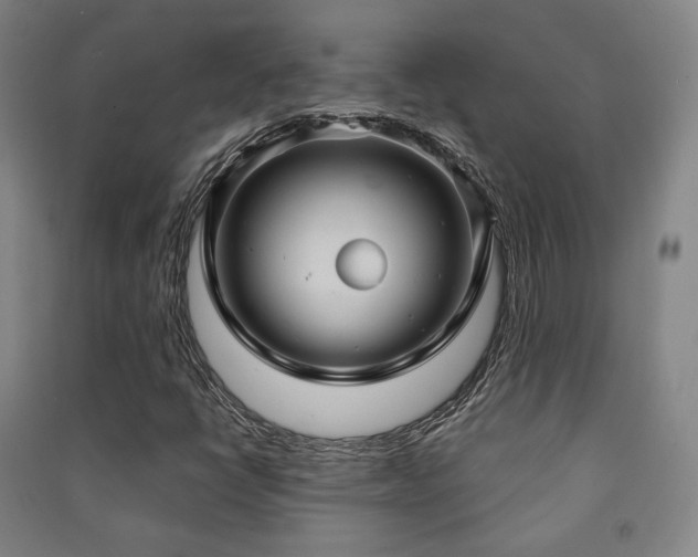 X0000091461398200708161513