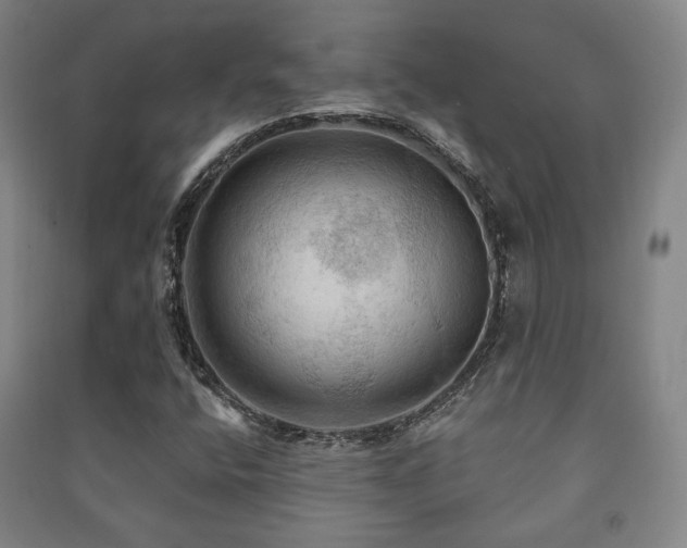 X0000091461400200708161513