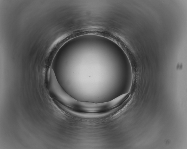 X0000091461402200708161513