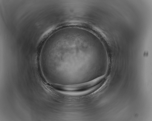 X0000091461403200708161513