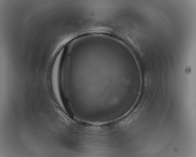 X0000091461405200708161513