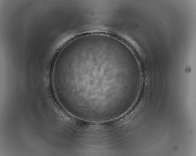 X0000091461407200708161513