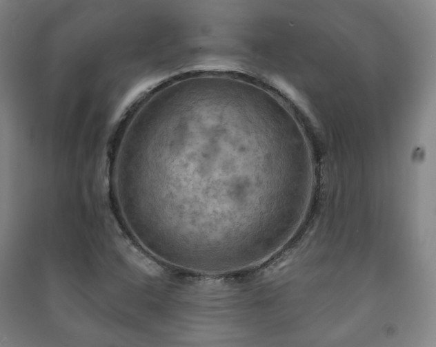 X0000091461408200708161513