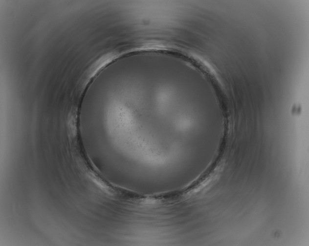 X0000091461409200708161513