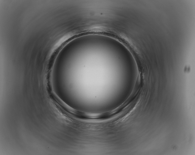 X0000091461410200708161513
