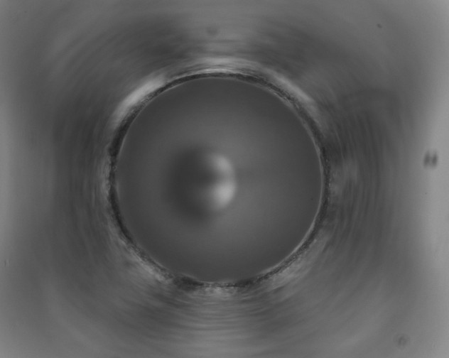 X0000091461411200708161513
