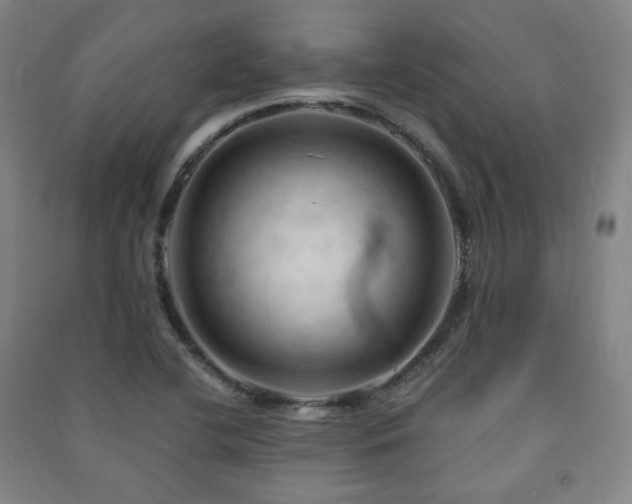 X0000091461412200708161513