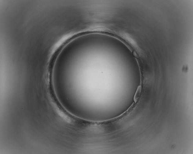 X0000091461414200708161513