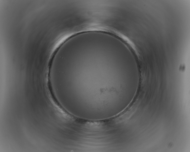 X0000091461415200708161513