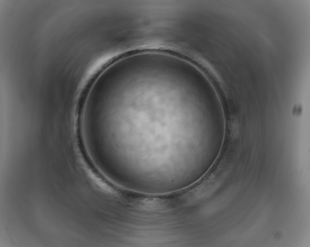 X0000091461416200708161513