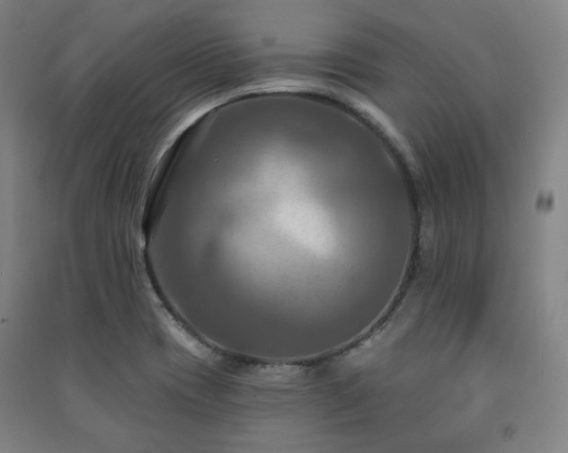 X0000091461417200708161513