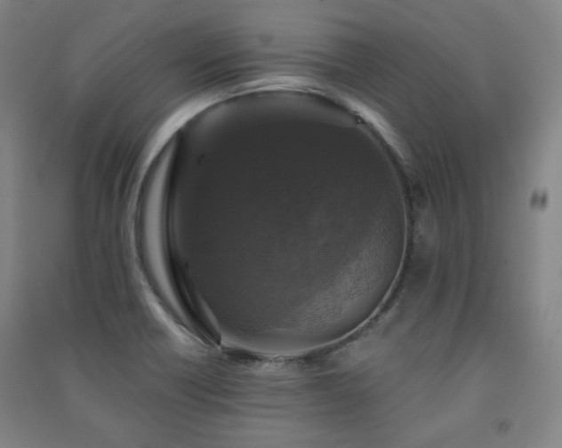 X0000091461418200708161513