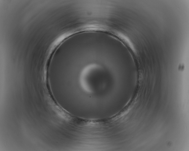 X0000091461419200708161513