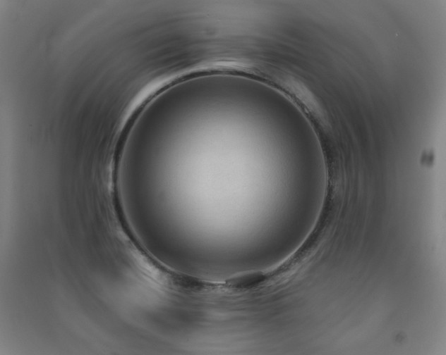 X0000091461420200708161513
