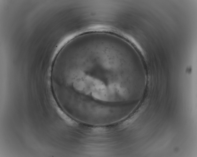 X0000091461421200708161513
