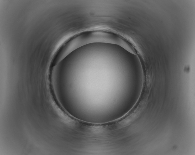 X0000091461422200708161513