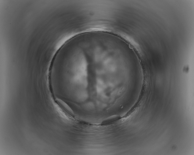 X0000091461423200708161513
