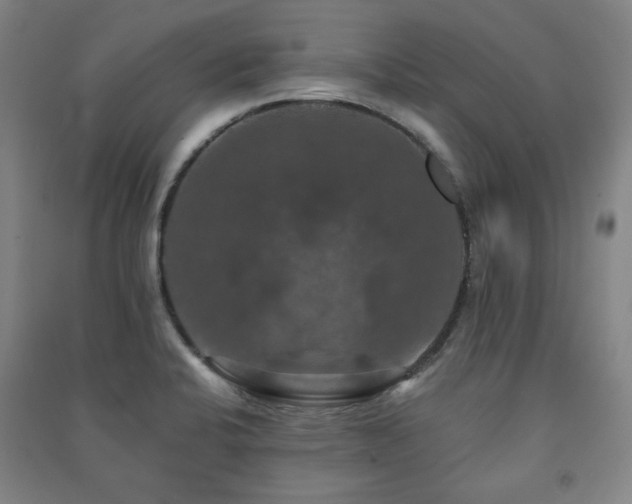 X0000091461424200708161513