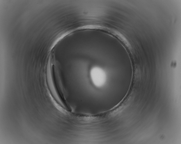 X0000091461425200708161513