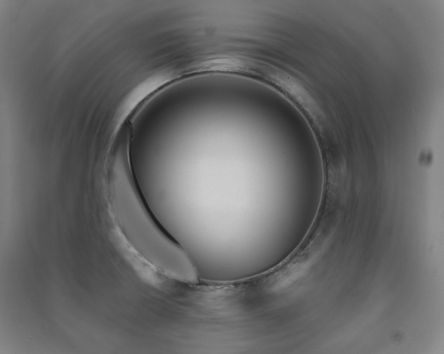 X0000091461426200708161513