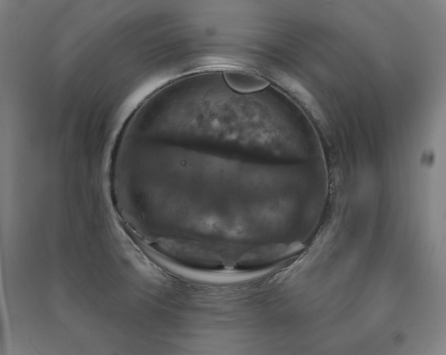 X0000091461427200708161513