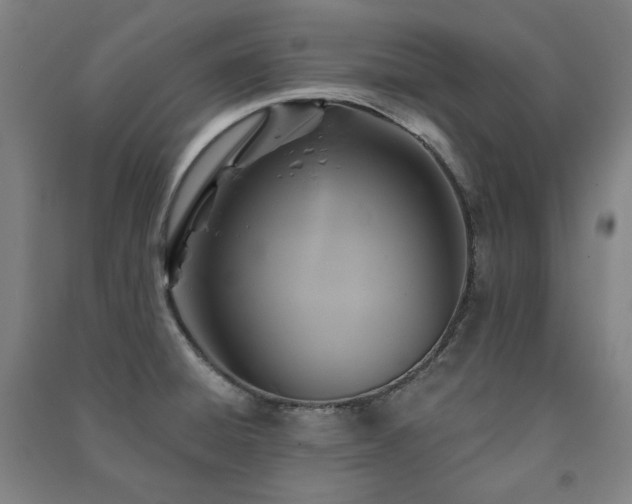 X0000091461428200708161513